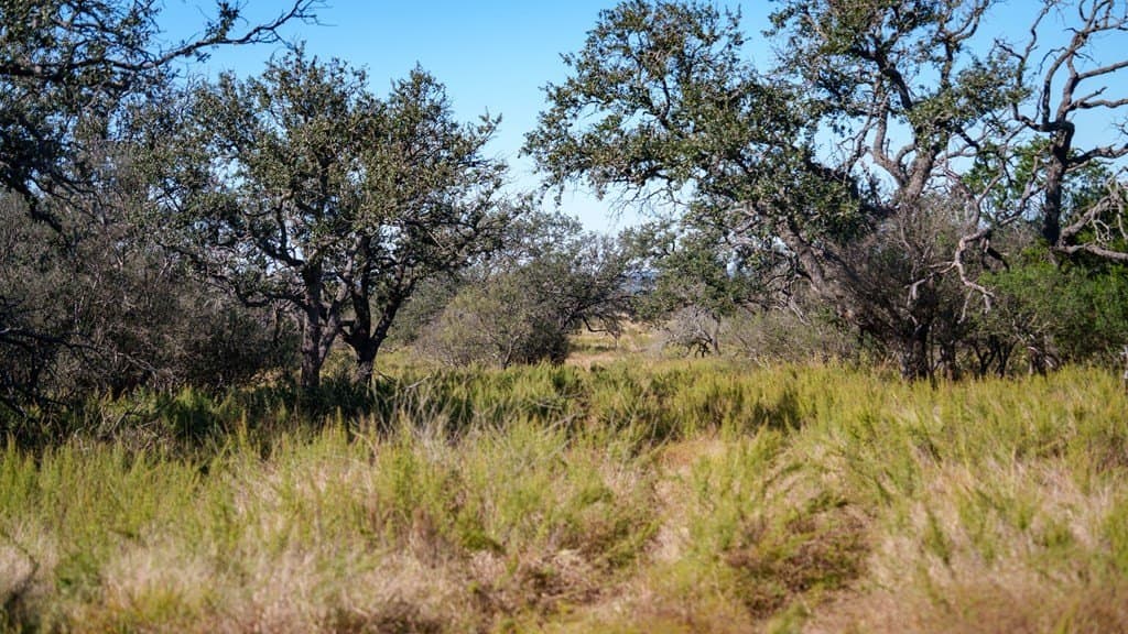 100 acres in McCulloch County - photo 14