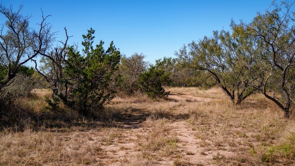 100 acres in McCulloch County - photo 16