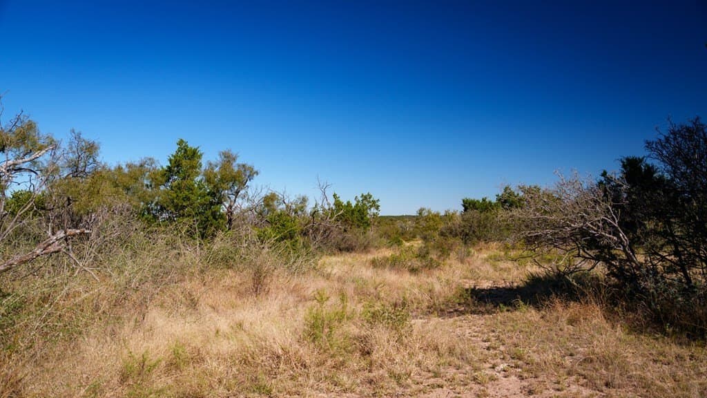 100 acres in McCulloch County - photo 15