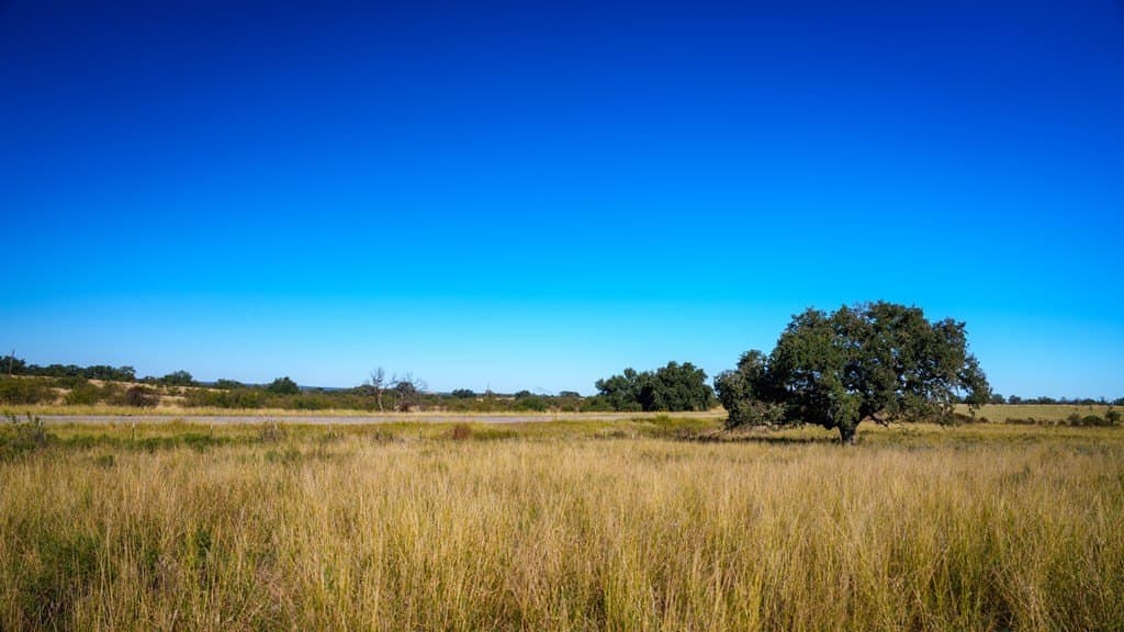 100 acres in McCulloch County - photo 23