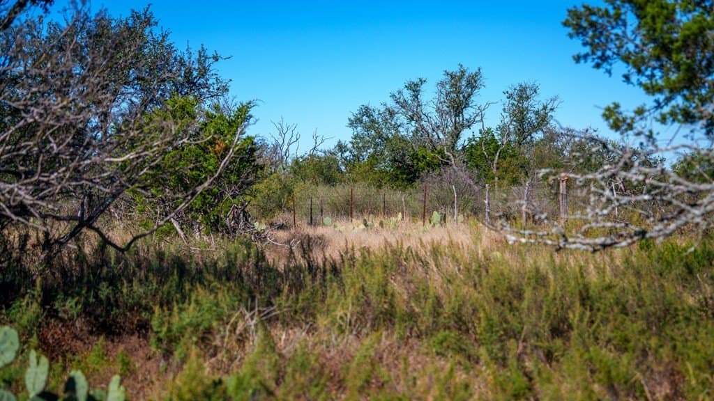 100 acres in McCulloch County - photo 17