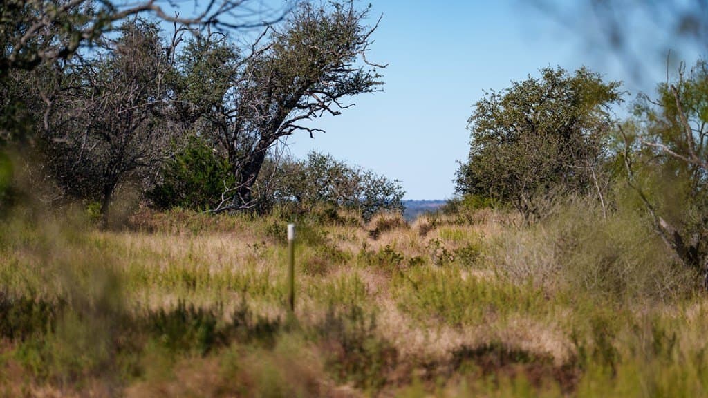 100 acres in McCulloch County - photo 12