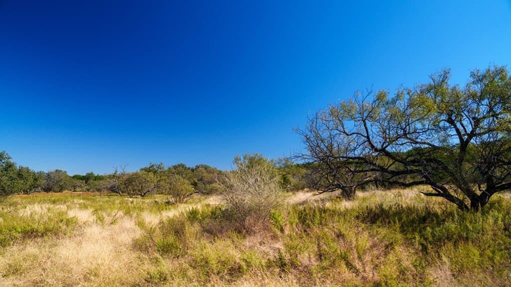 100 acres in McCulloch County - photo 18