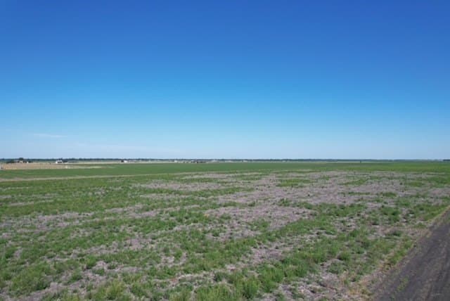 10.22 acres in Texas County - photo 8