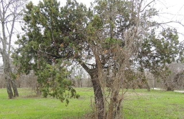 0.24 acres in Hunt County gallery image 3