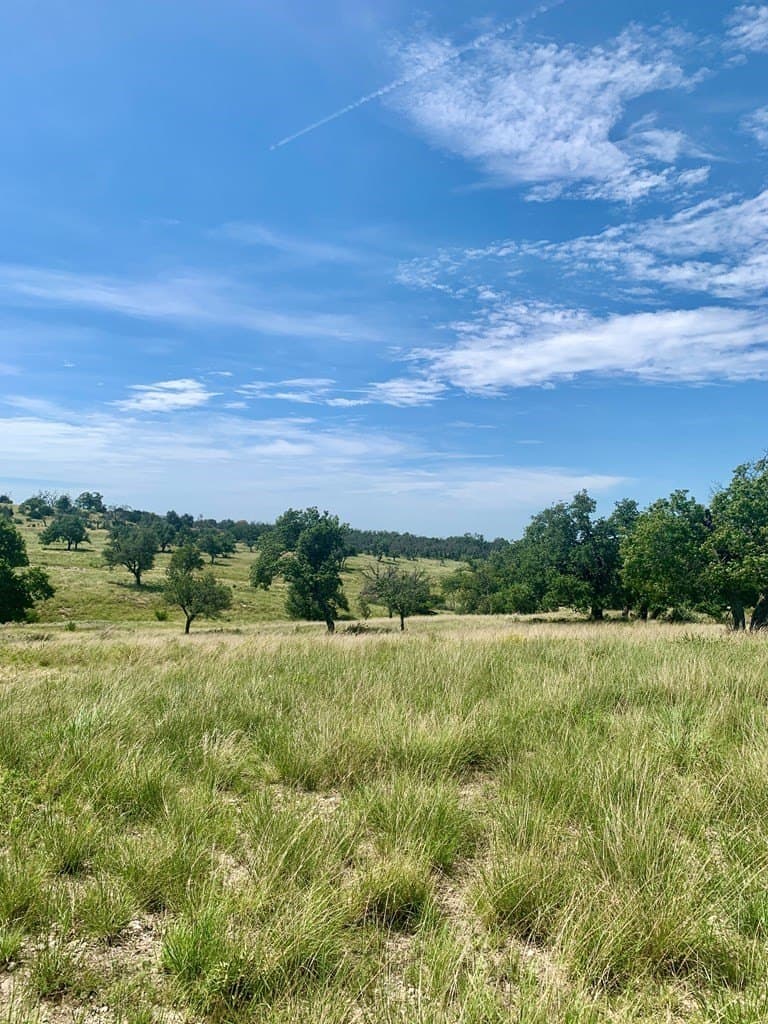 3.13 acres in Gillespie County - photo 6