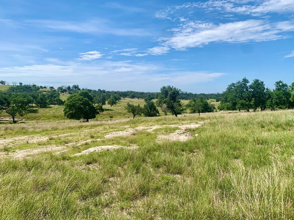 3.13 acres in Gillespie County gallery image 4