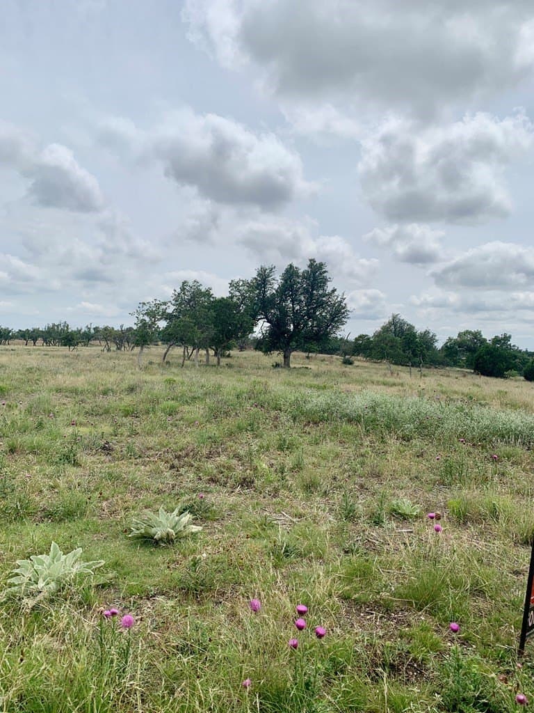 3.13 acres in Gillespie County featured view