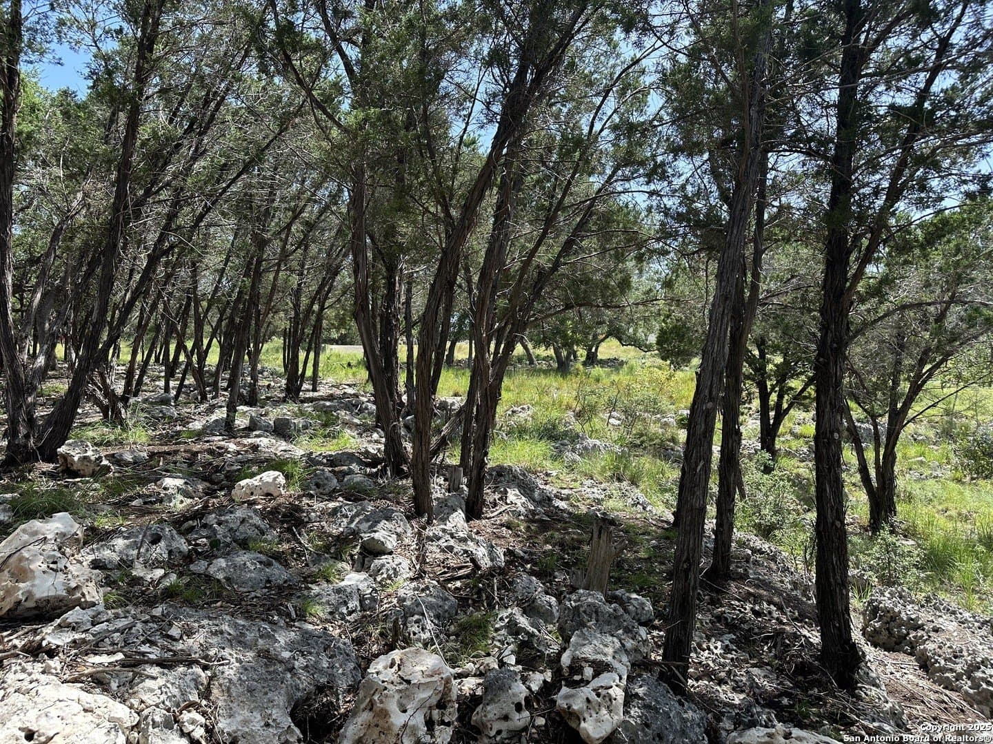 1.42 acres in Comal County - photo 32