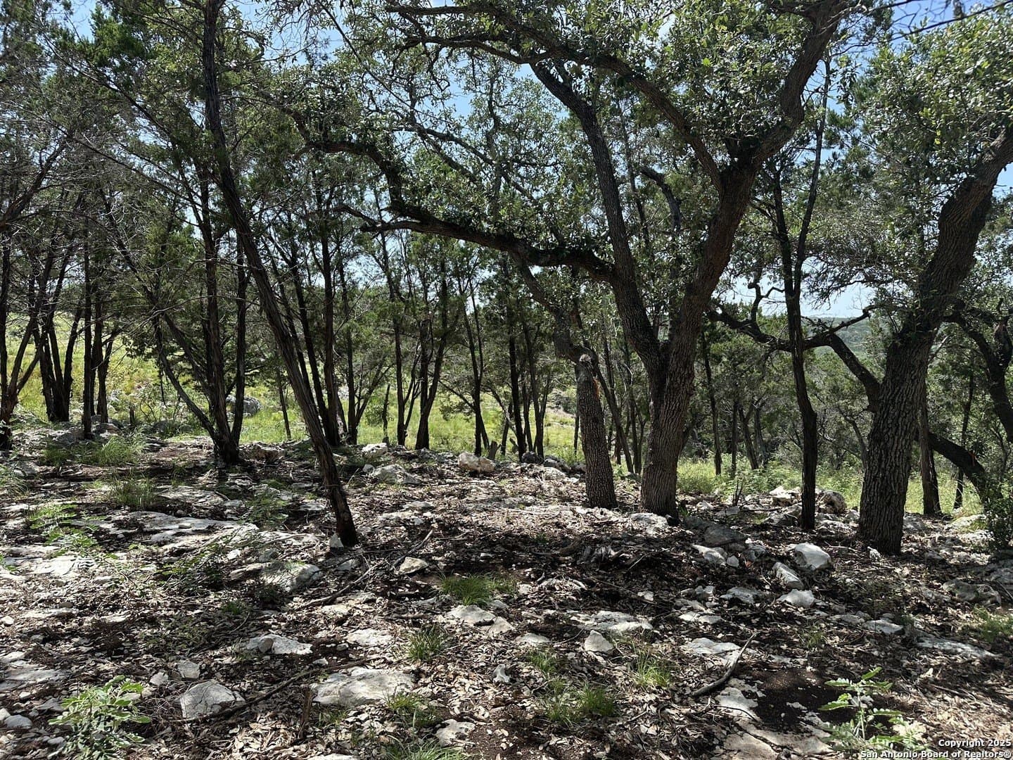 1.42 acres in Comal County - photo 30