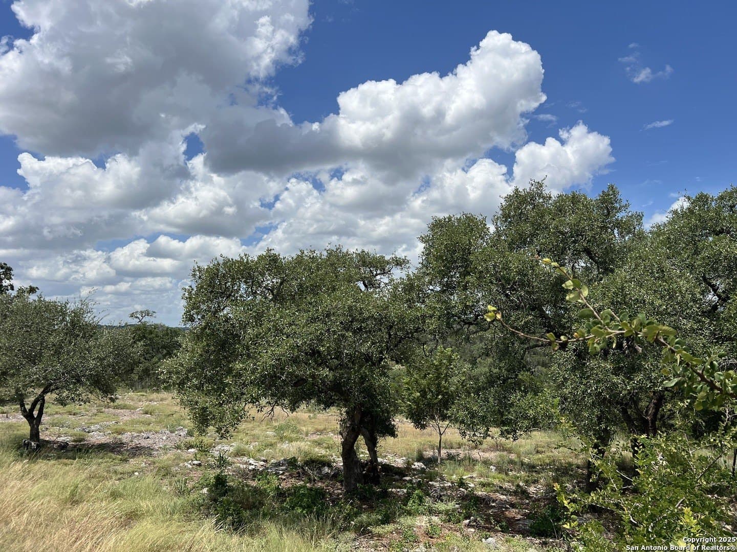 1.42 acres in Comal County - photo 34