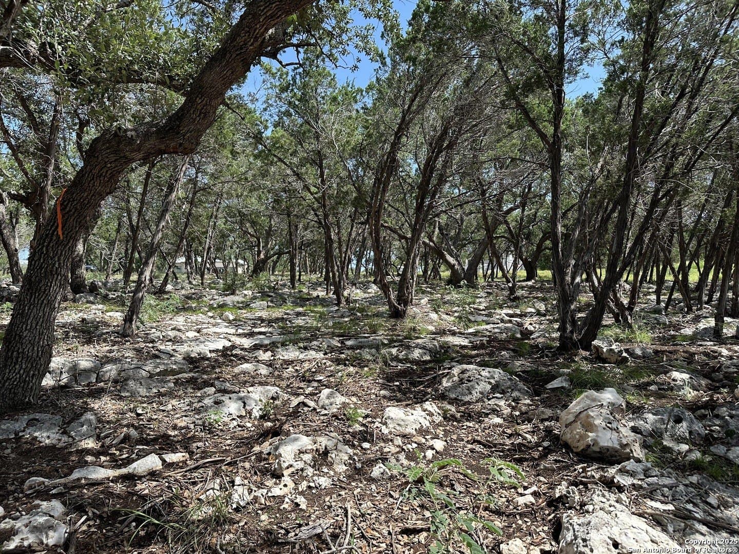 1.42 acres in Comal County - photo 13