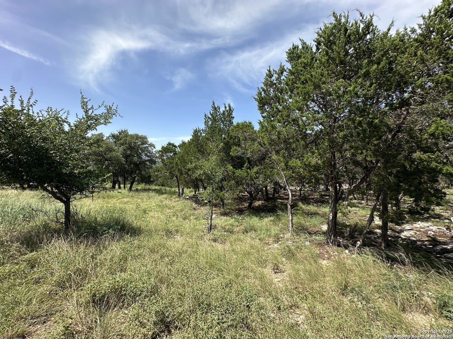 1.42 acres in Comal County - photo 15