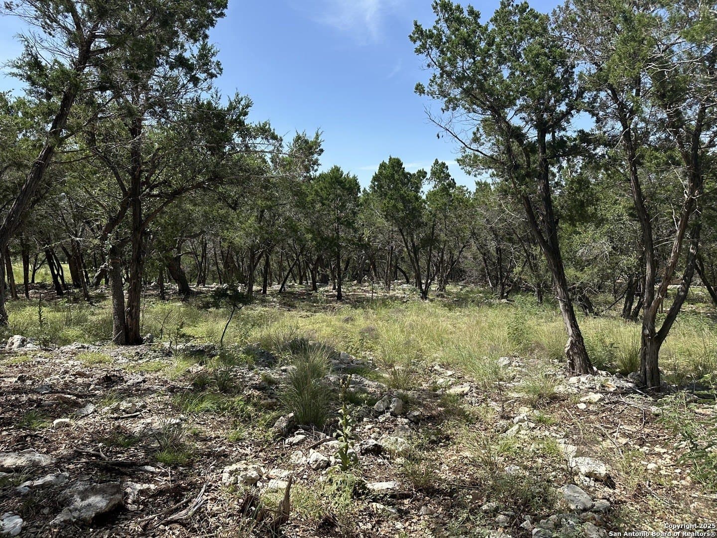 1.42 acres in Comal County - photo 11