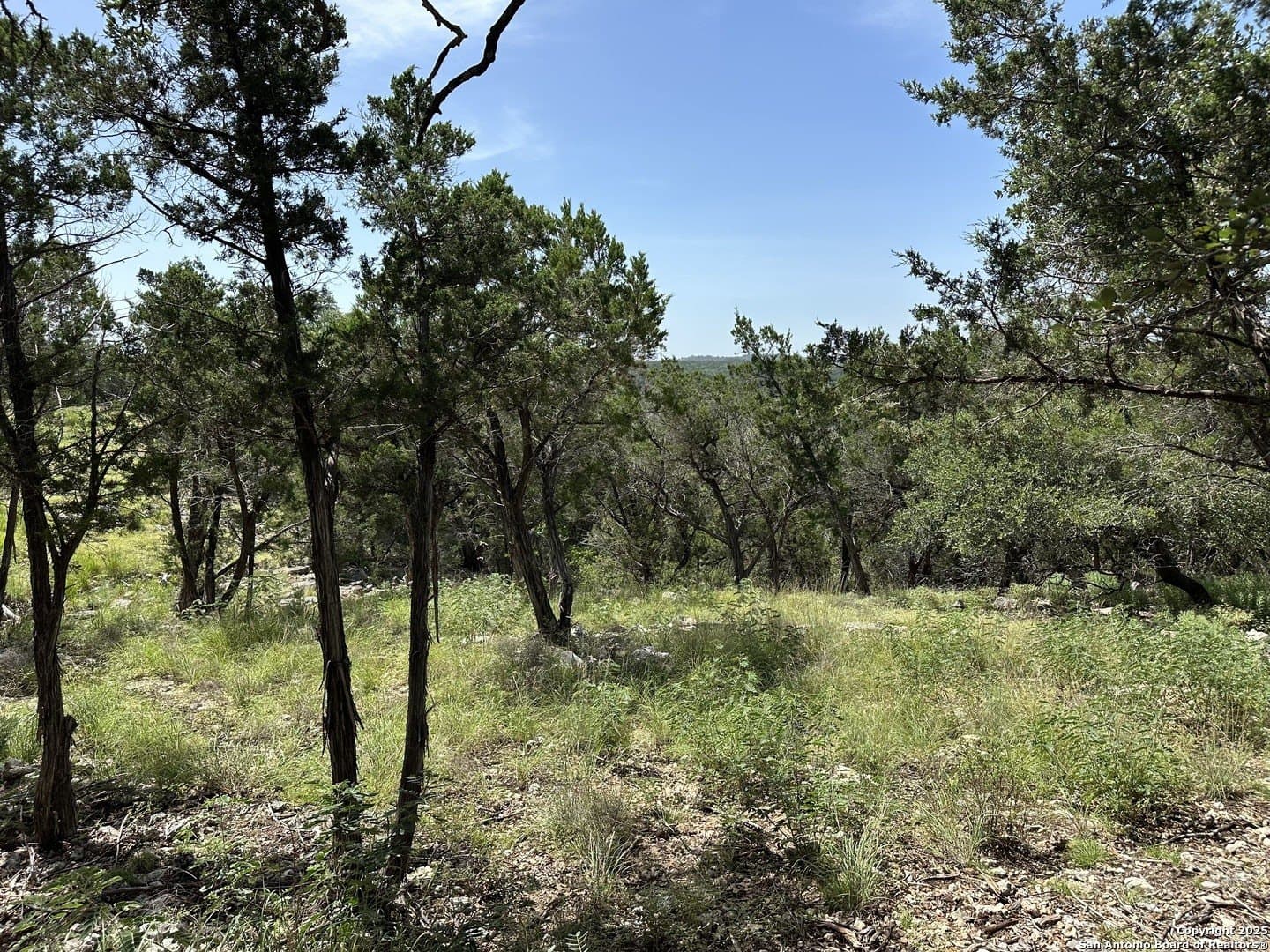 1.42 acres in Comal County - photo 14