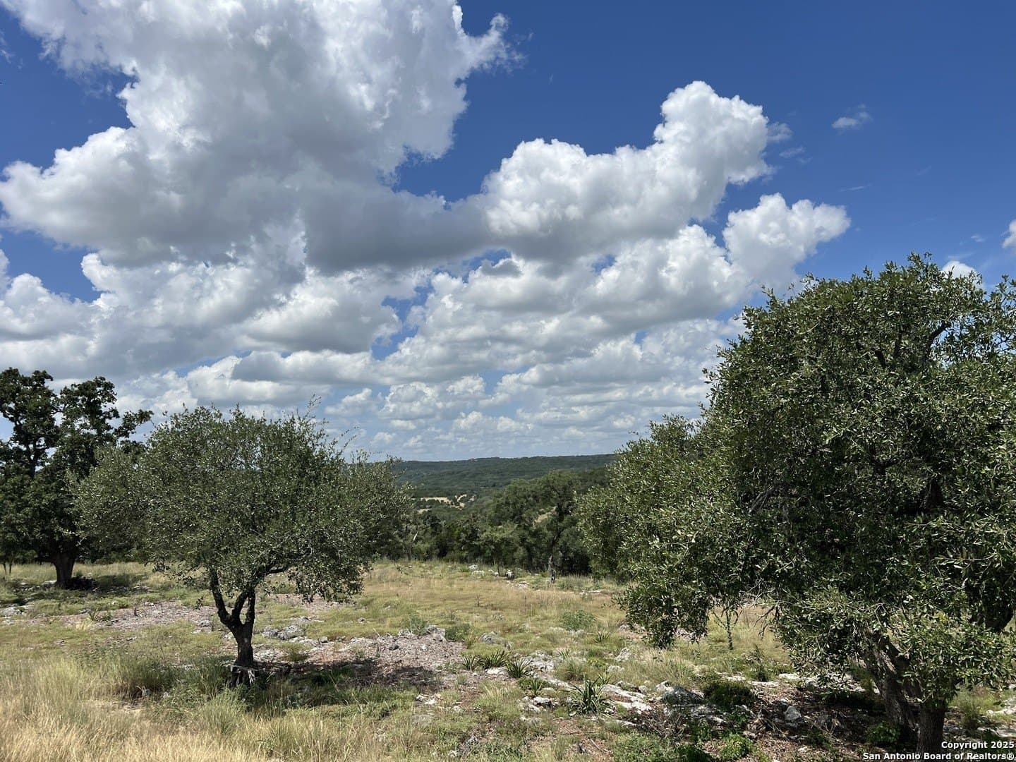 1.42 acres in Comal County gallery image 4