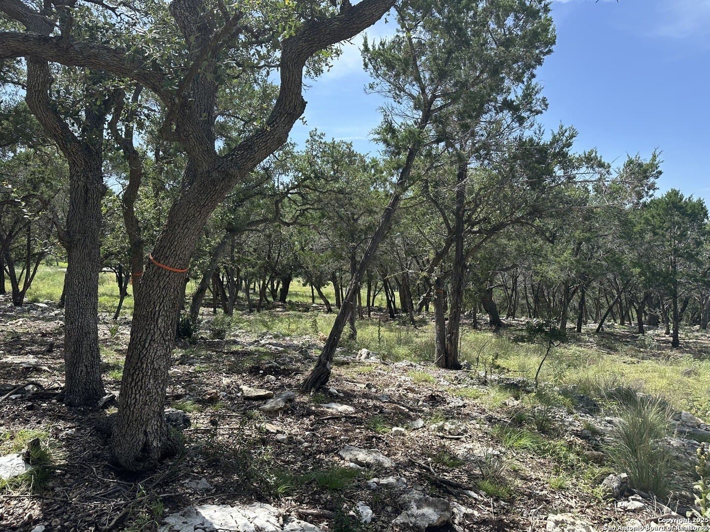 1.42 acres in Comal County - photo 12