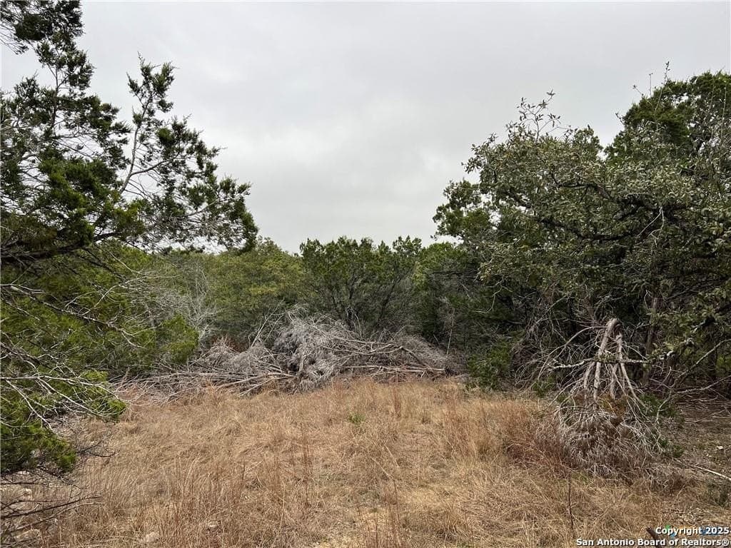 0.33 acres in Blanco County