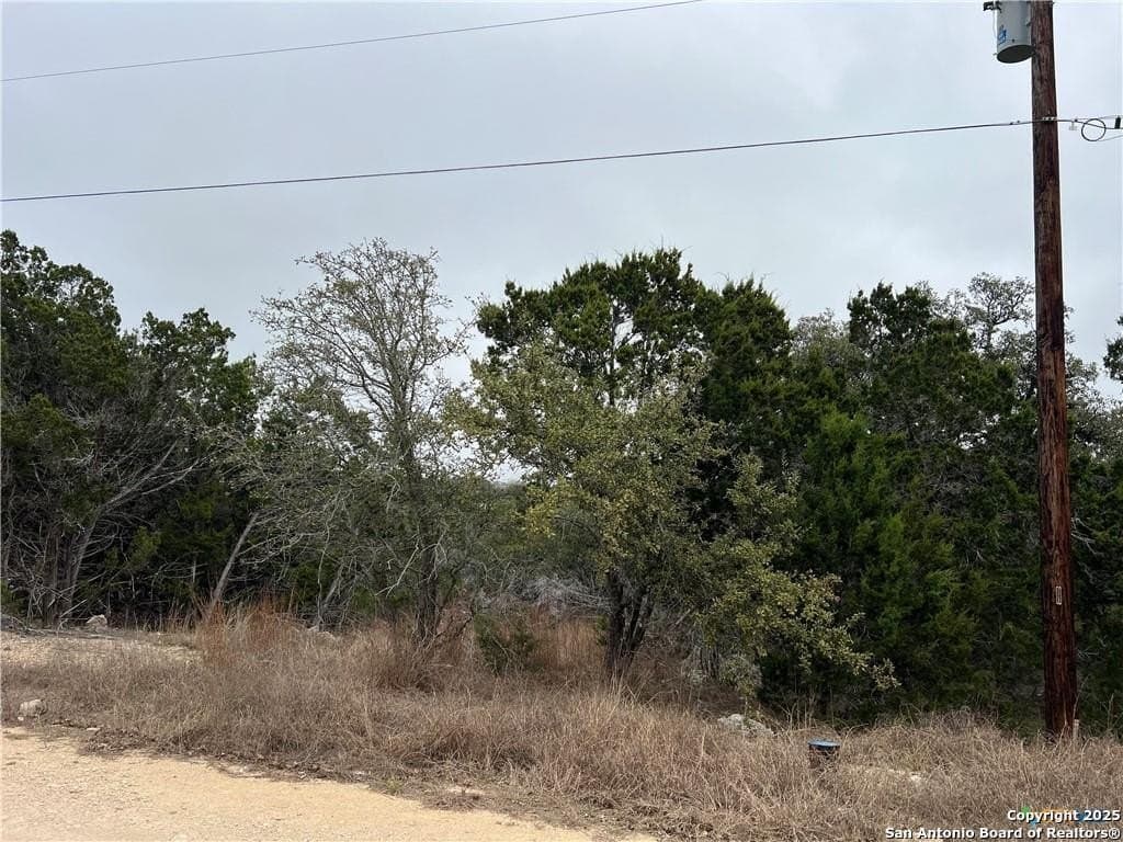 0.33 acres in Blanco County - photo 5