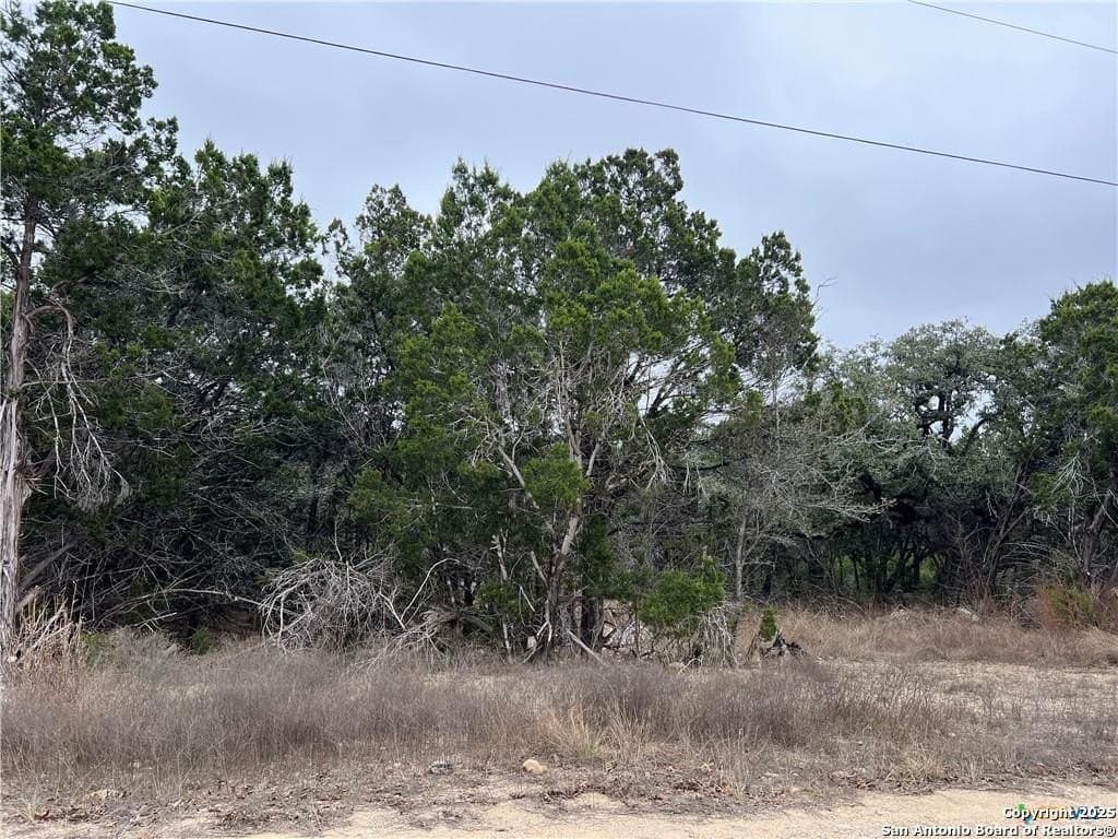 0.33 acres in Blanco County - photo 3