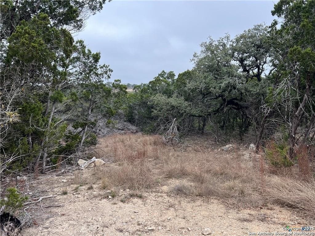 0.33 acres in Blanco County - photo 4