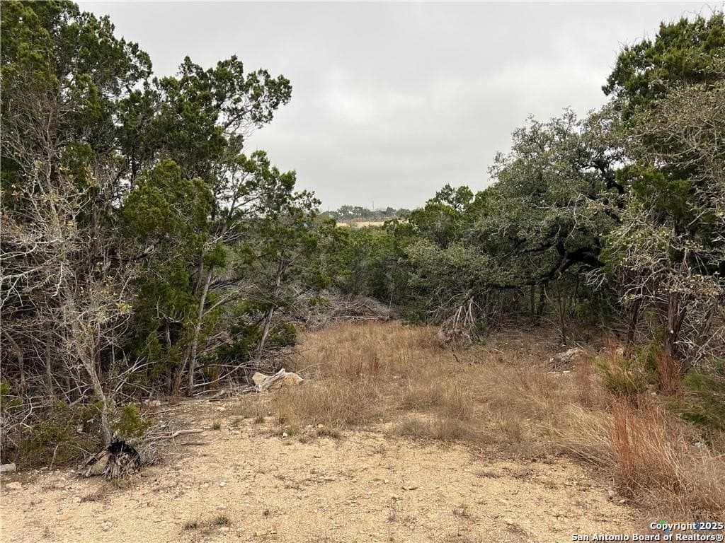 0.33 acres in Blanco County - photo 2