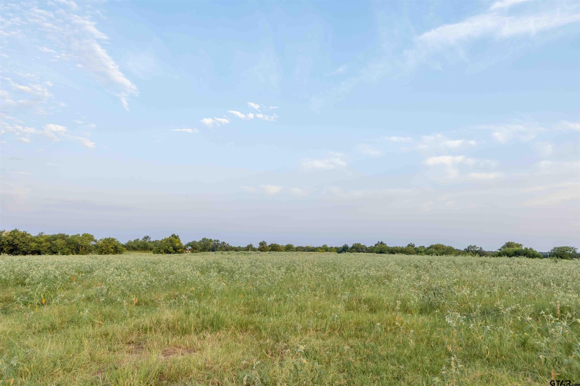 43.1 acres in Hopkins County - photo 14