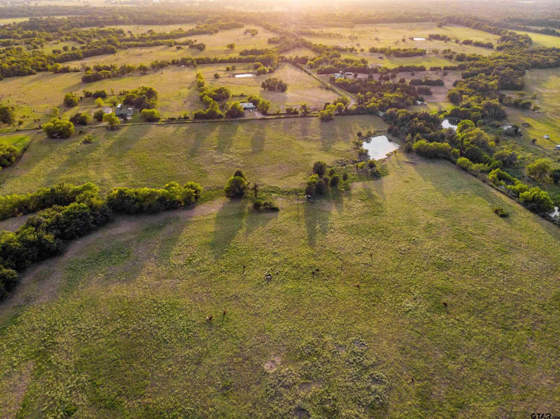 43.1 acres in Hopkins County - photo 8