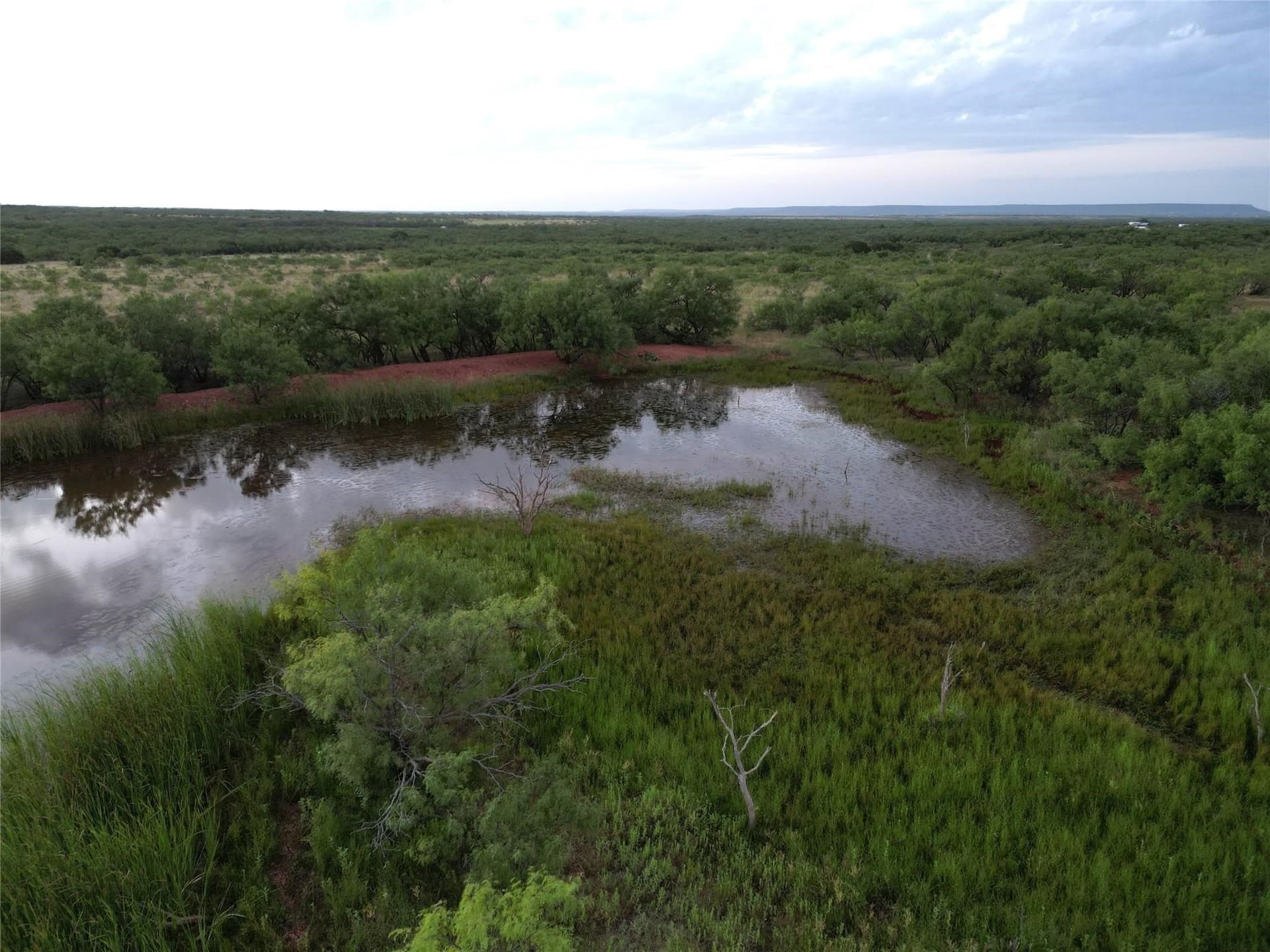 213 acres in Taylor County - photo 8