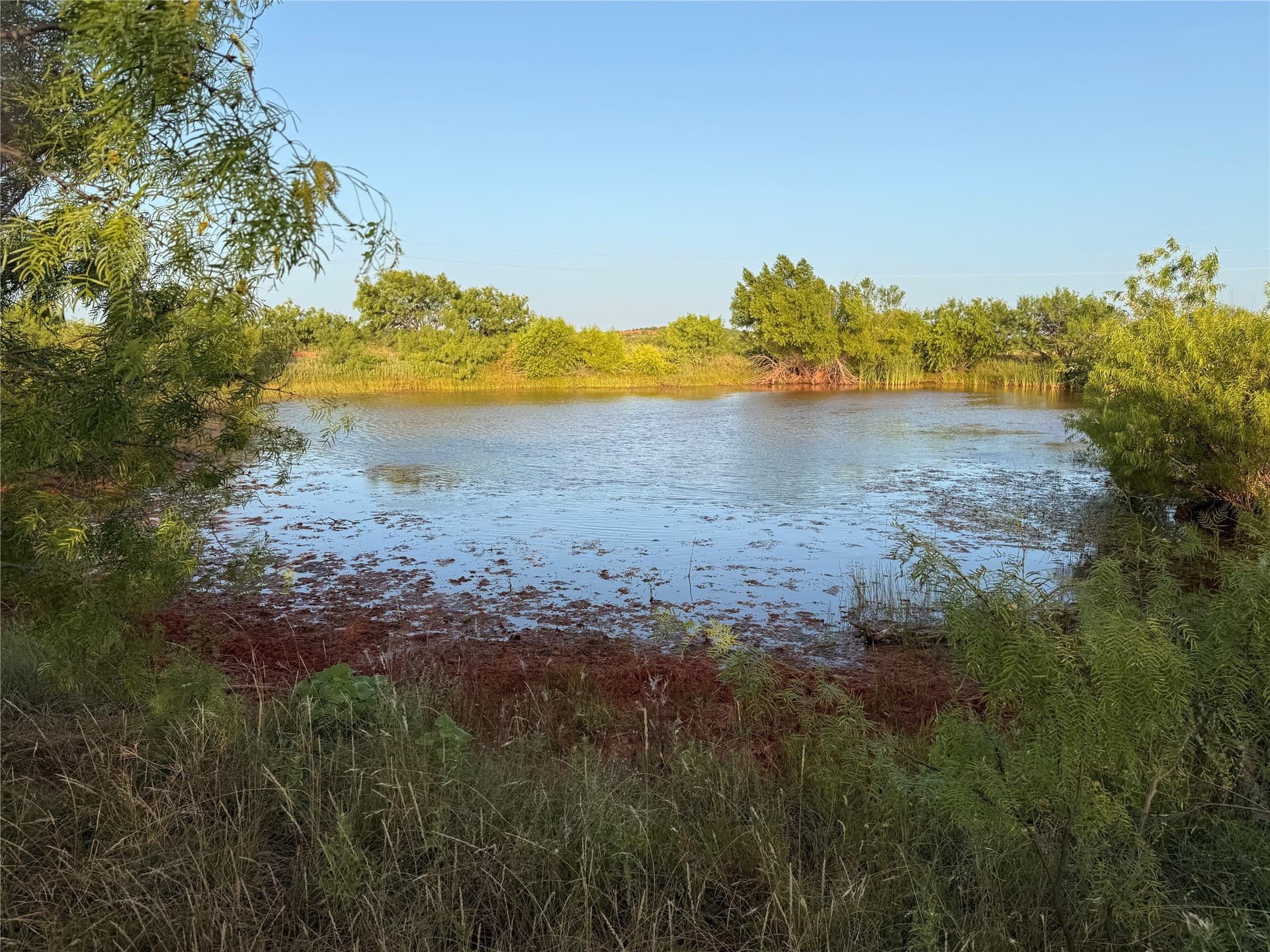 213 acres in Taylor County - photo 3