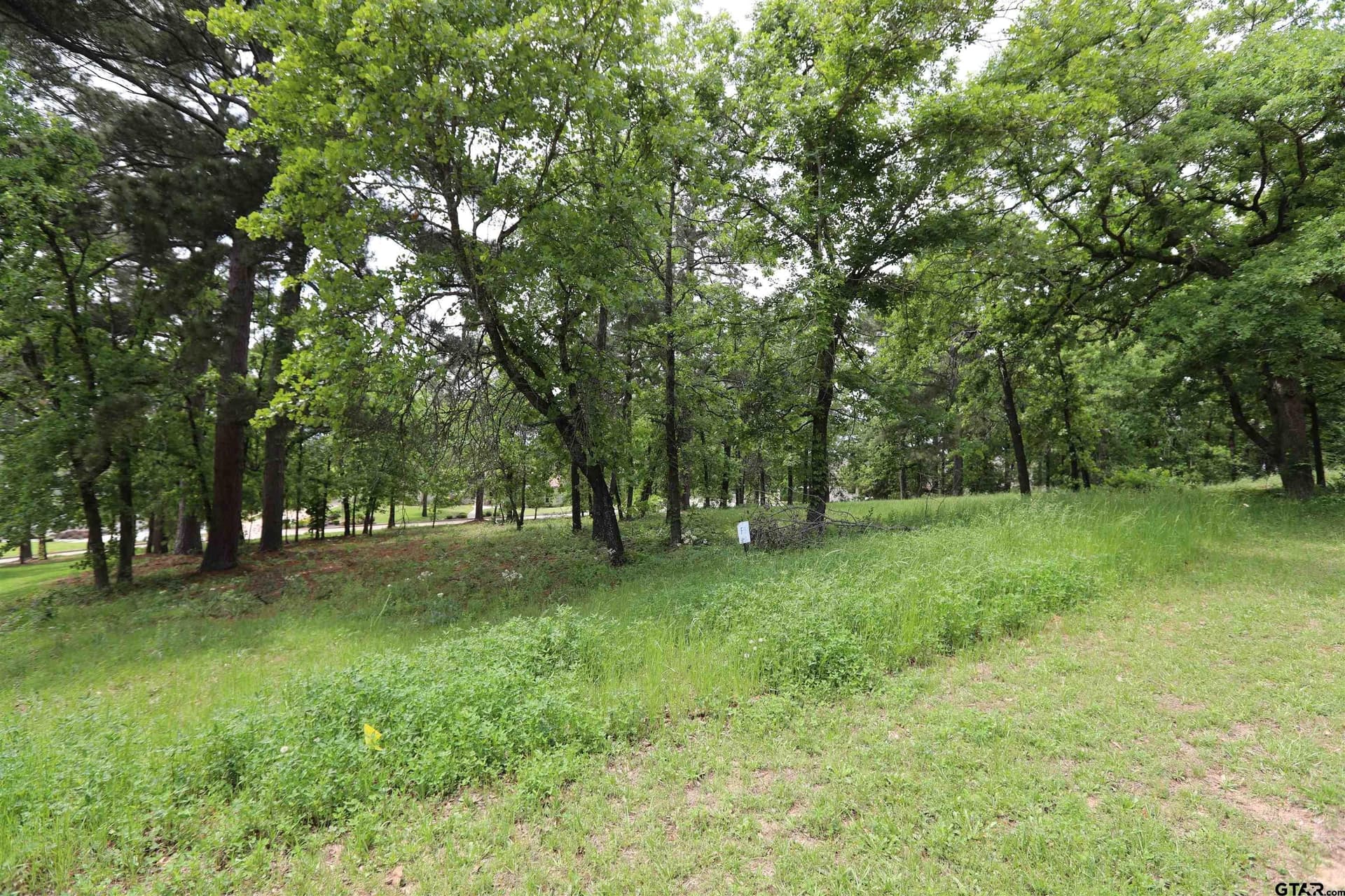 0.53 acres in Smith County featured view