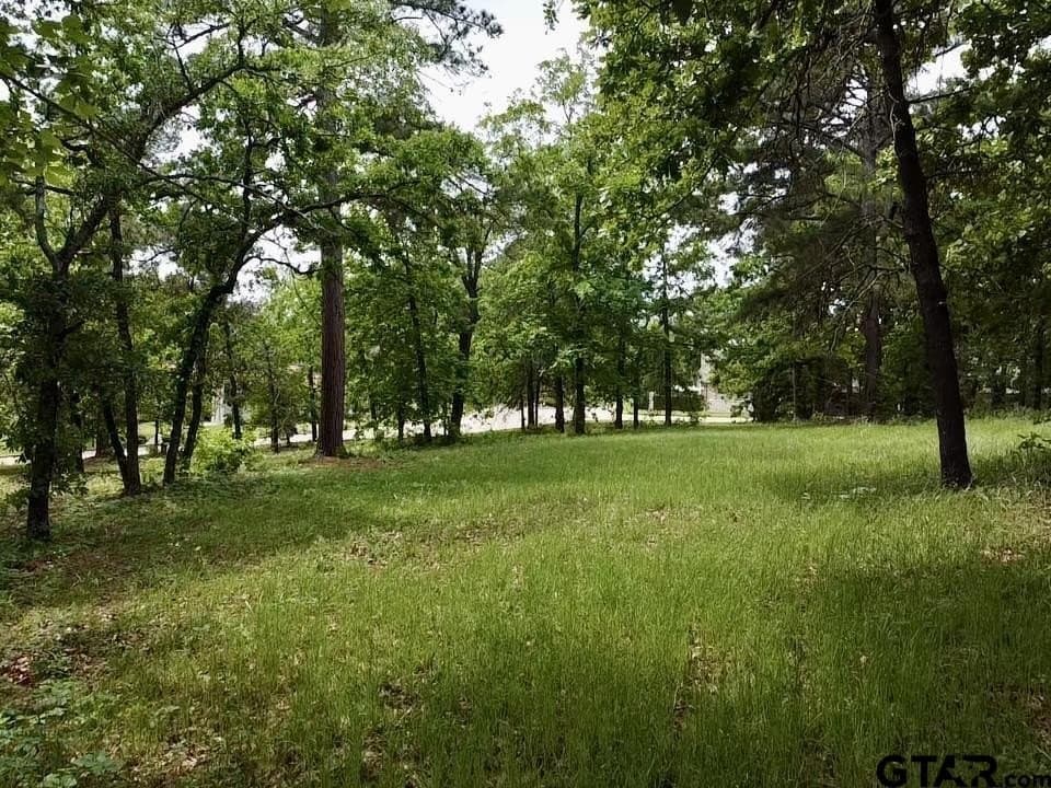 0.53 acres in Smith County