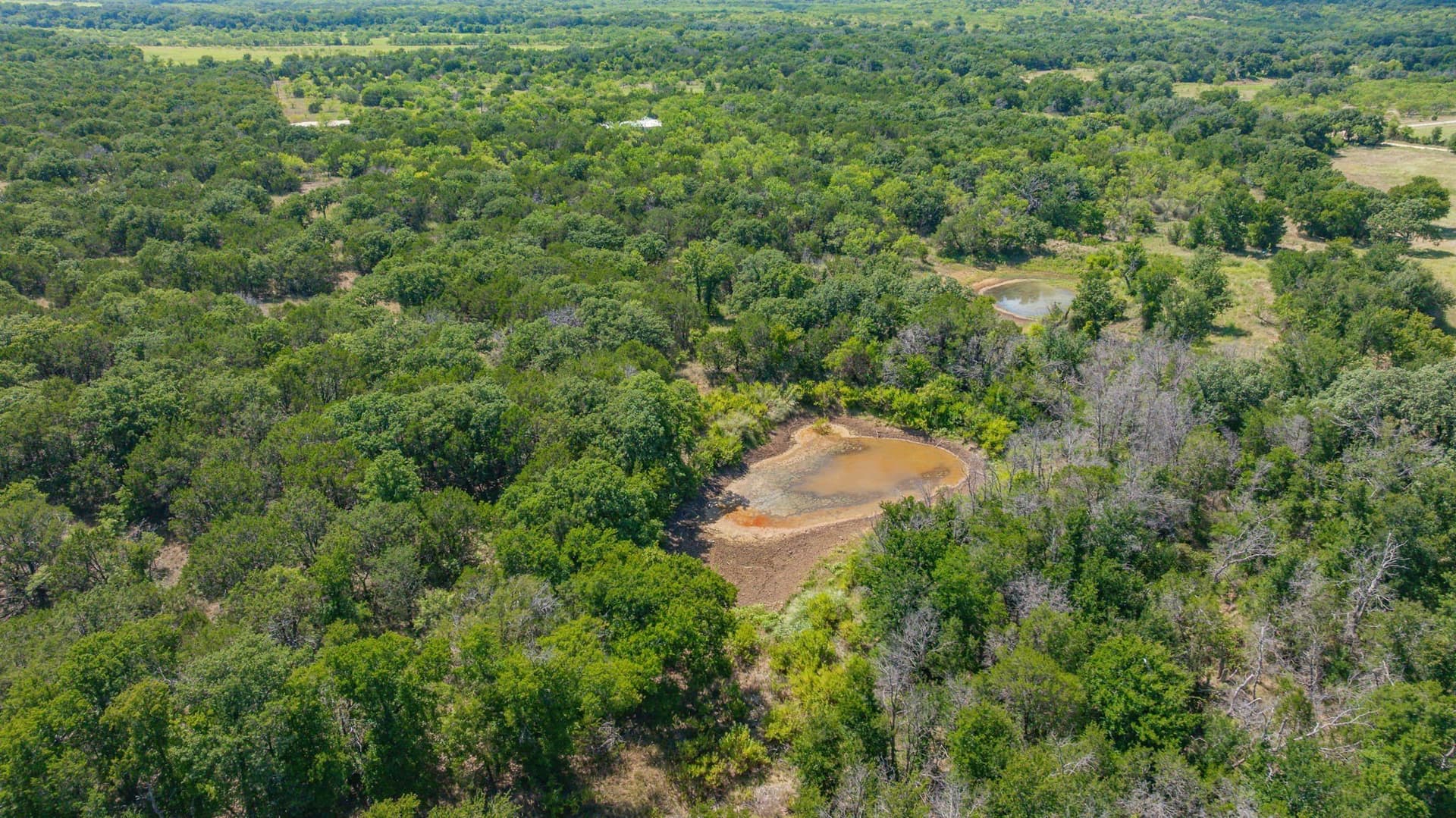 45.78 acres in Erath County - photo 9
