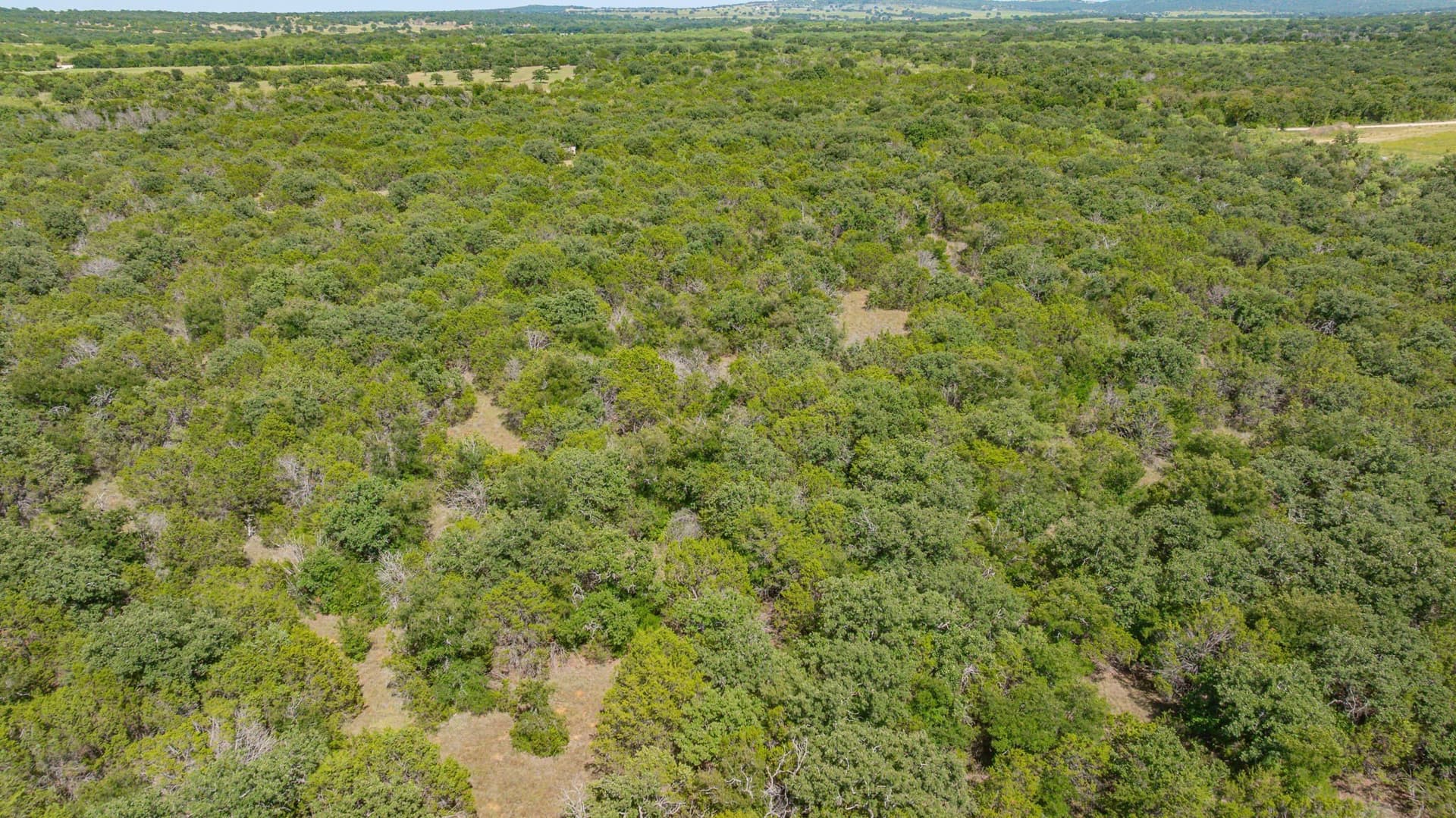 45.78 acres in Erath County - photo 27