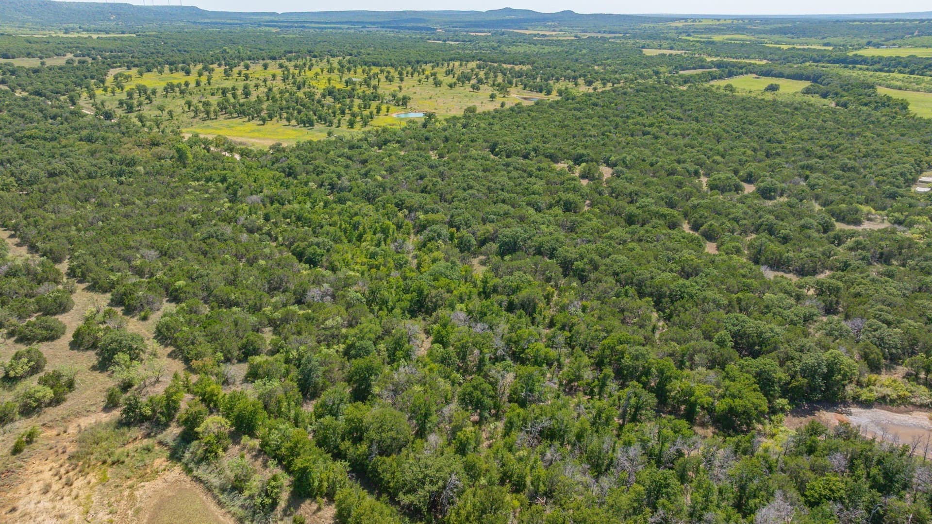 45.78 acres in Erath County - photo 8