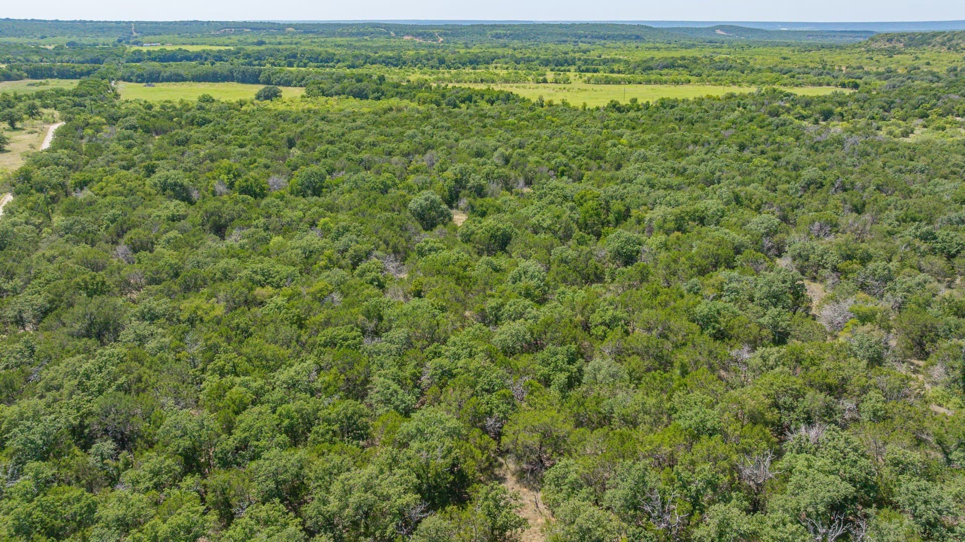 45.78 acres in Erath County - photo 14