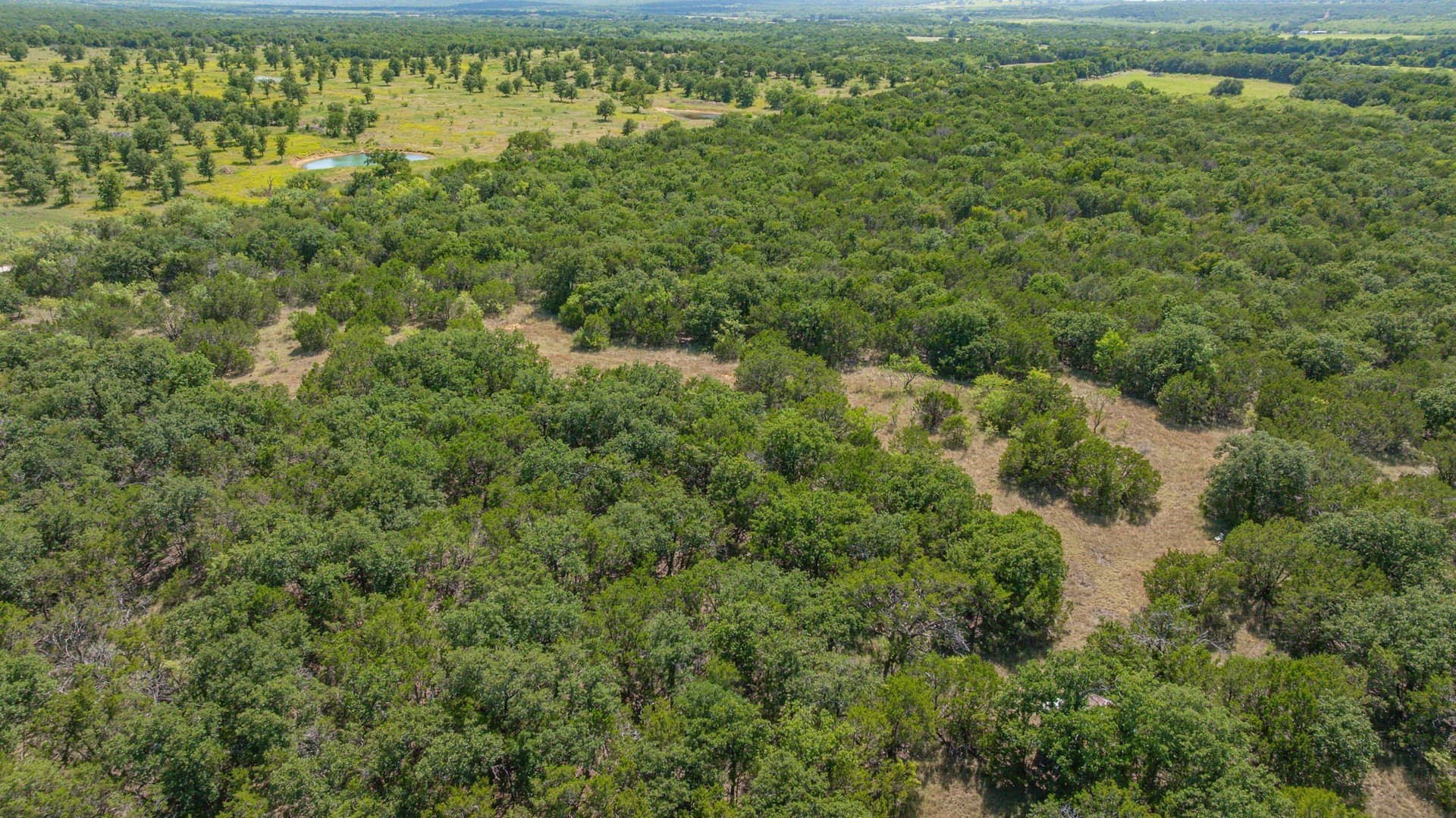 45.78 acres in Erath County - photo 11