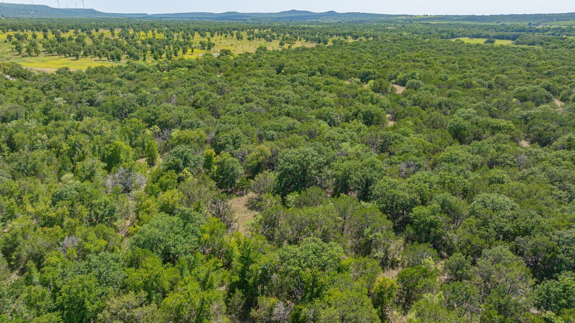 45.78 acres in Erath County - photo 10