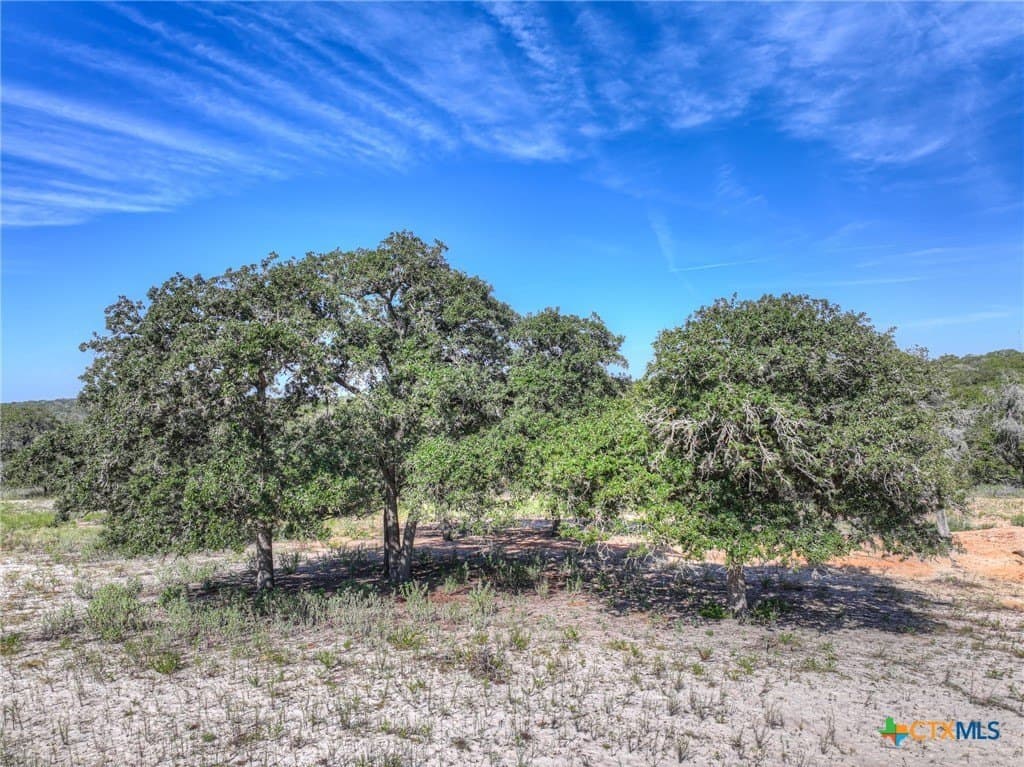 6.68 acres in Guadalupe County - photo 13