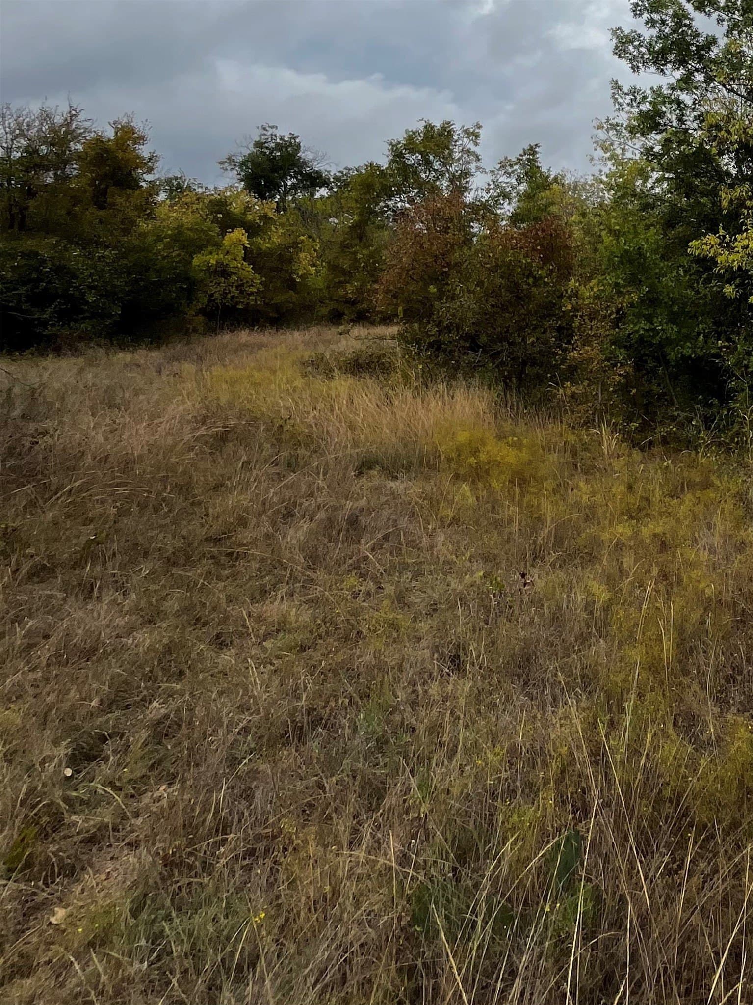 18.55 acres in Parker County - photo 12