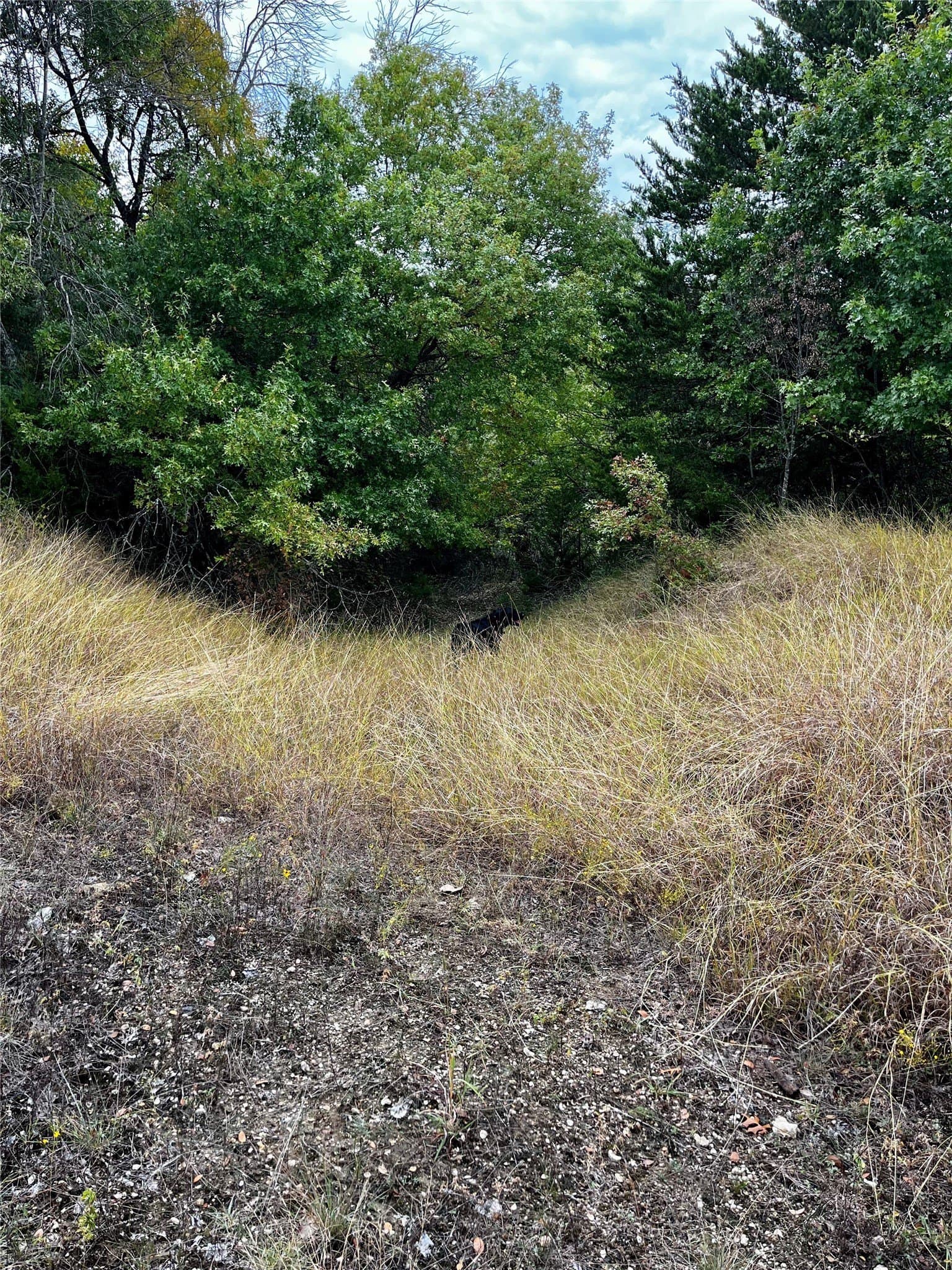 18.55 acres in Parker County - photo 15