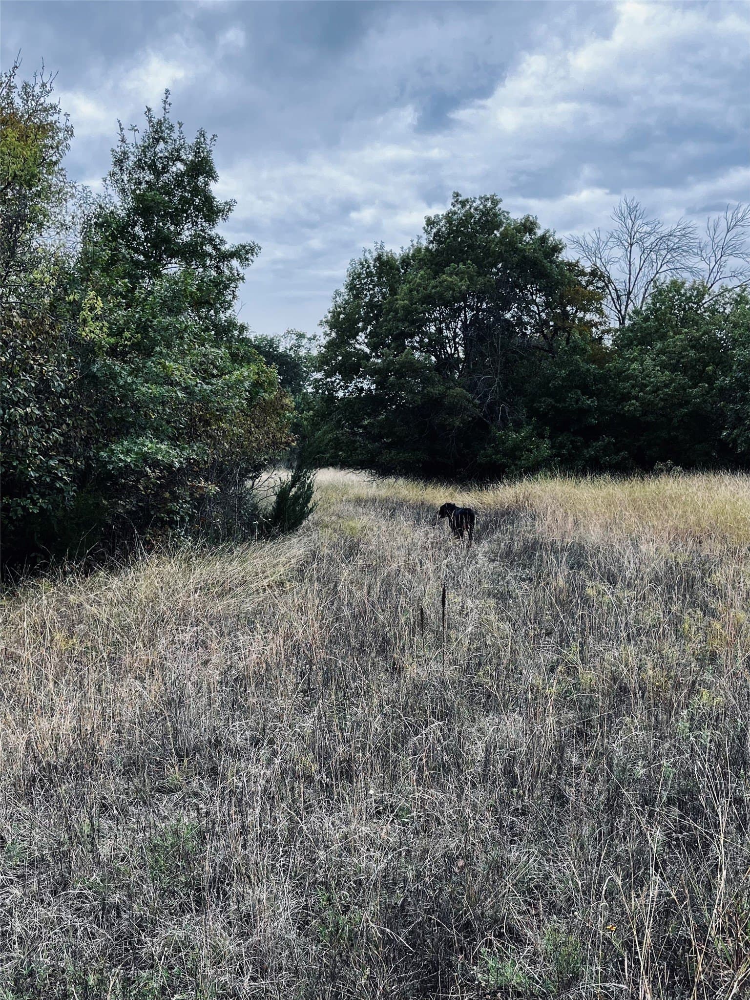 18.55 acres in Parker County - photo 14