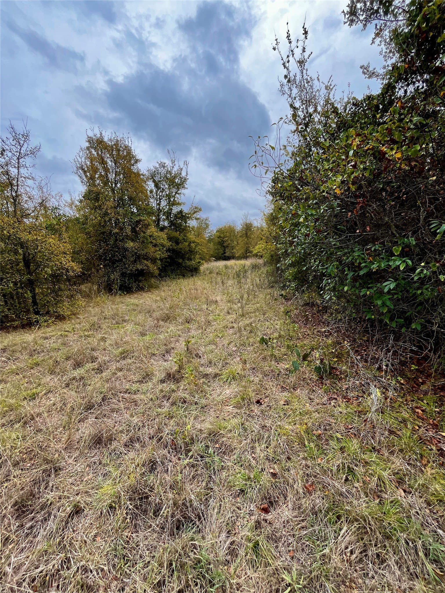 18.55 acres in Parker County - photo 16