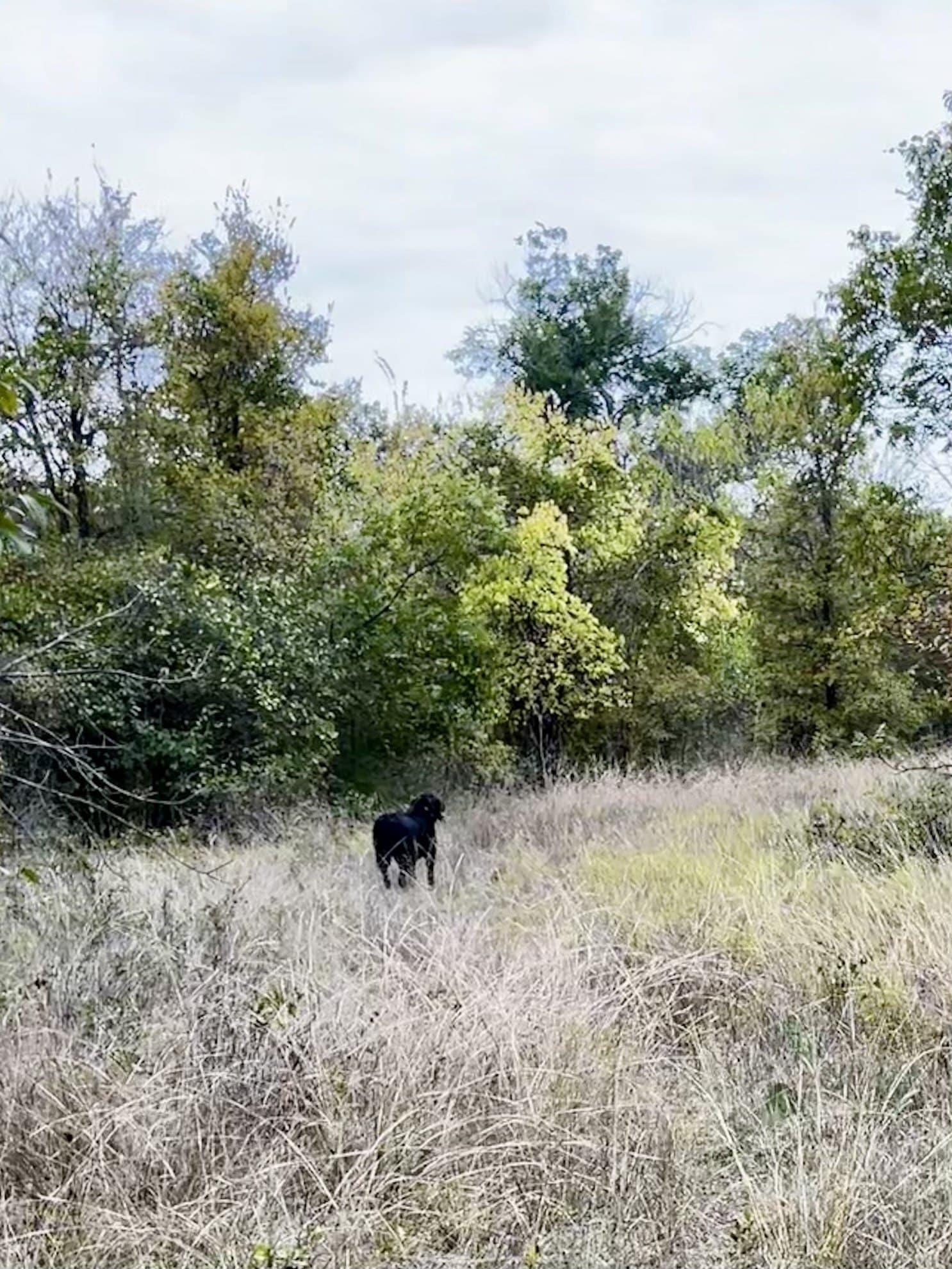18.55 acres in Parker County - photo 13