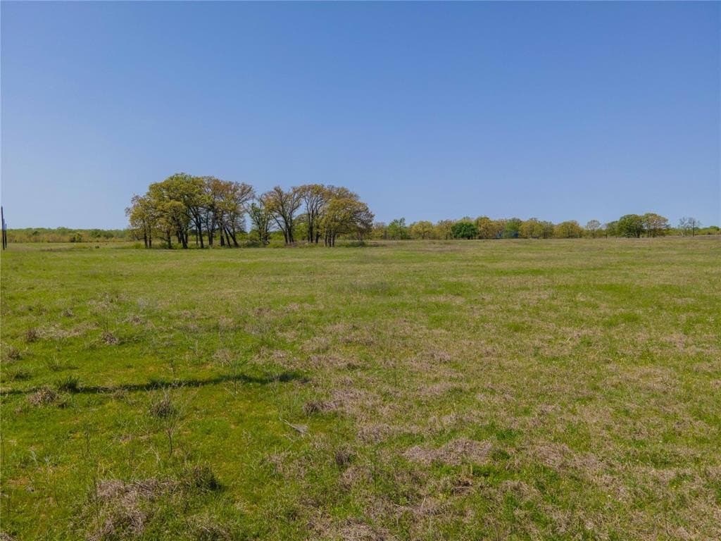 10.01 acres in Rains County featured view