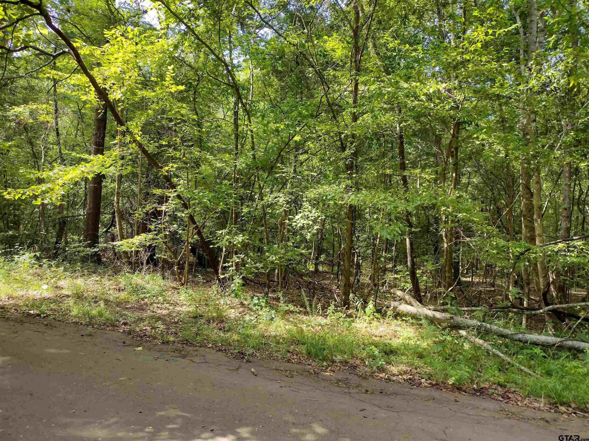 14.86 acres in Marion County - photo 7