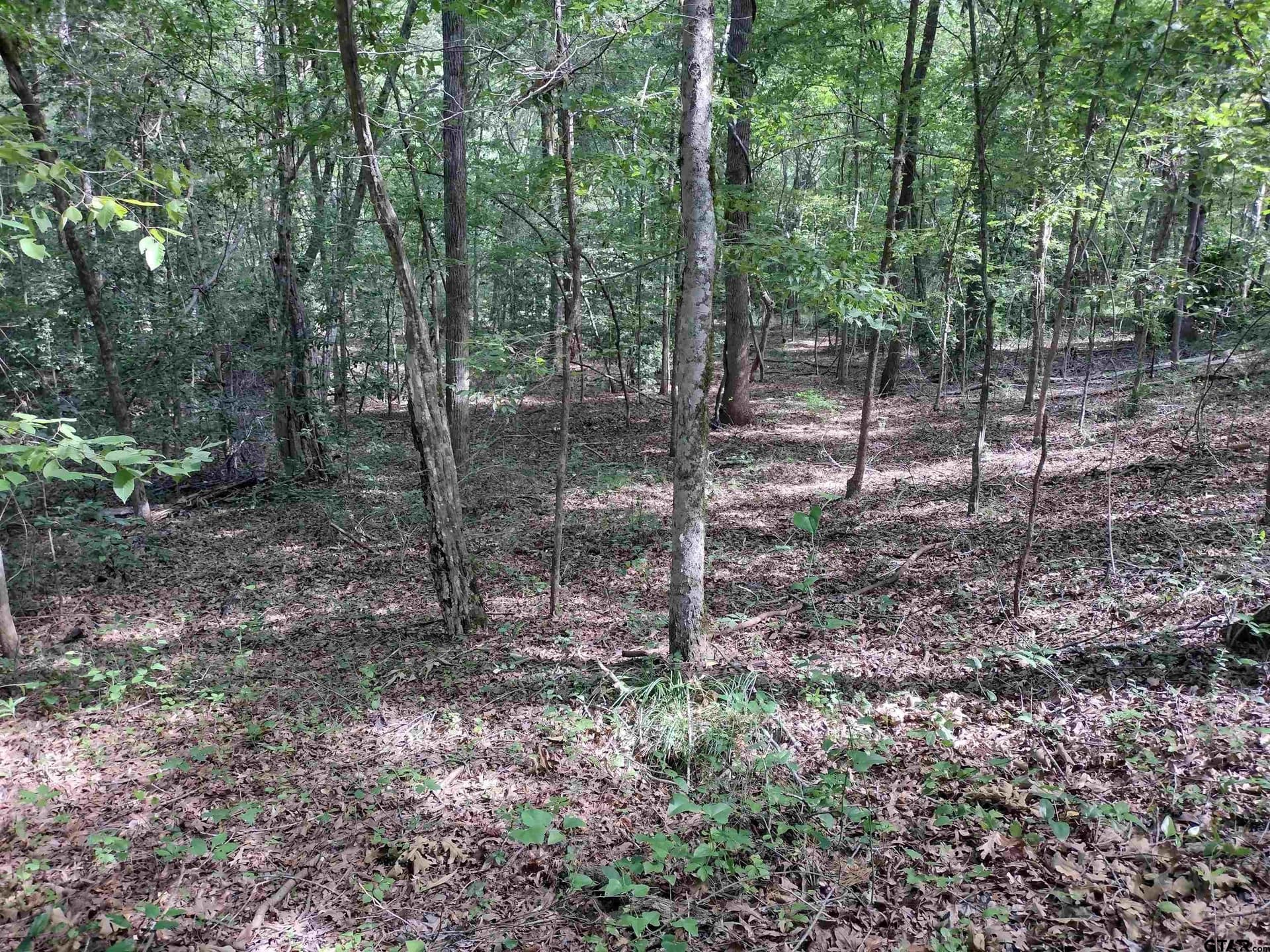 14.86 acres in Marion County - photo 6