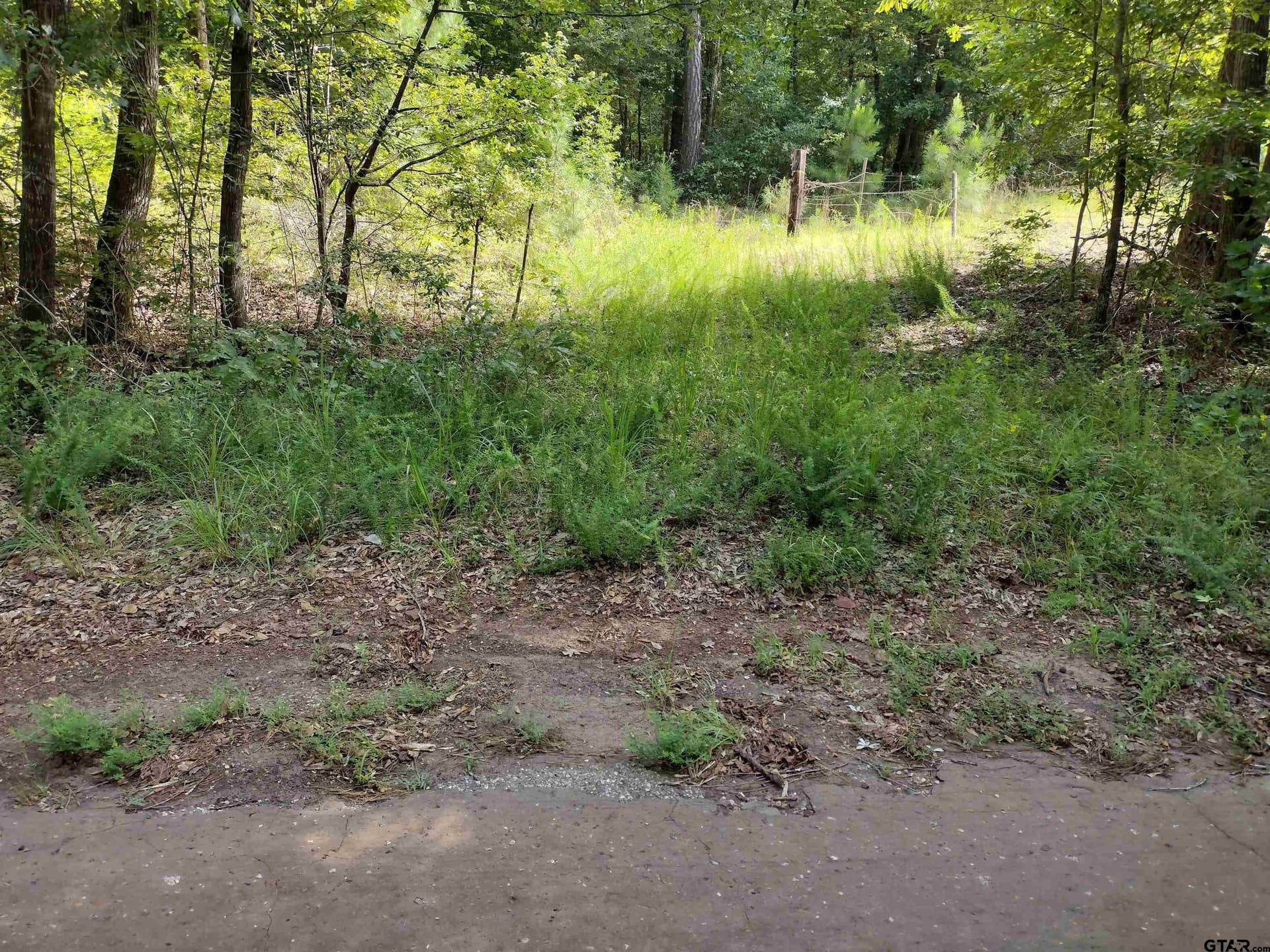 14.86 acres in Marion County