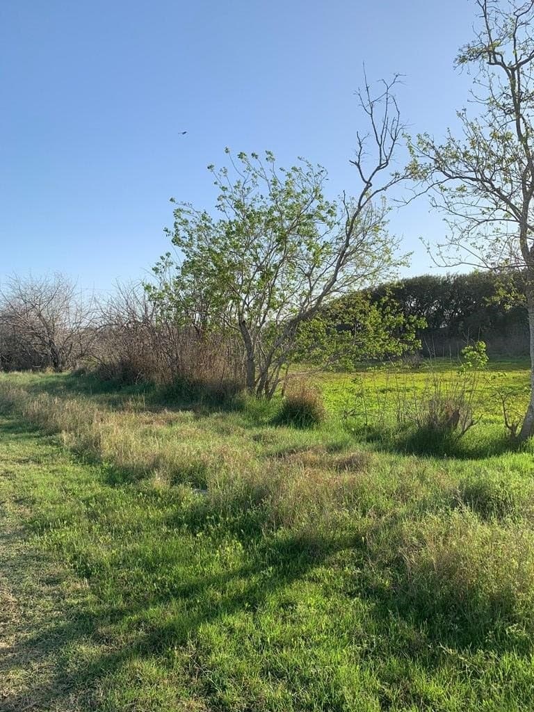 0 acres in Texas County gallery image 2