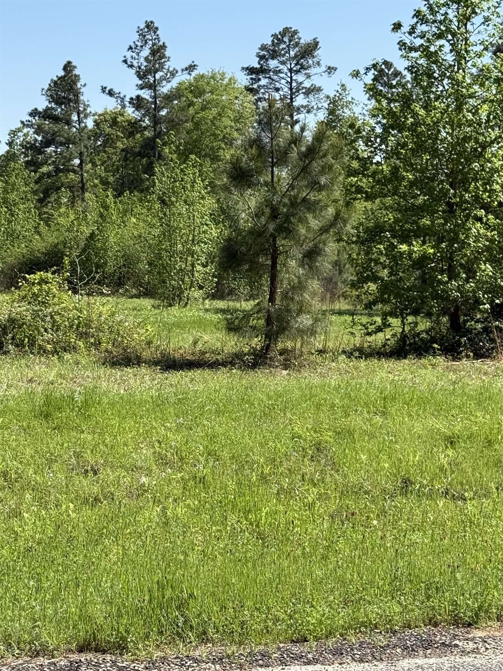 6 acres in Rusk County gallery image 2
